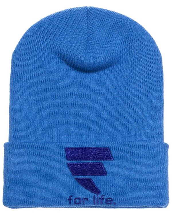 A blue beanie with the letter e on it.