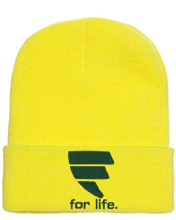 A yellow beanie with the letter e on it.