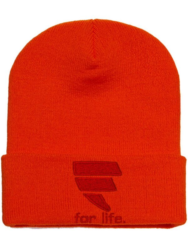 A red beanie with the state of indiana on it.