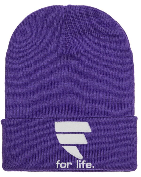 A purple beanie with the letter e on it.